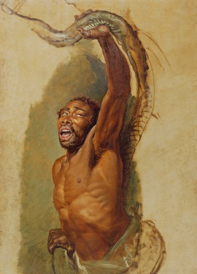 Man worstelt met een boa constrictor, studie voor 
